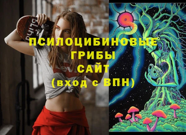 прущий лед Богородицк