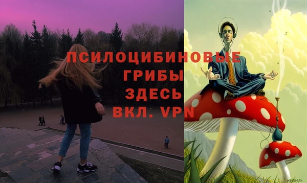 мяу мяу мука Зерноград