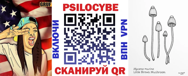 ссылка на мегу рабочий сайт  shop формула  Гаврилов-Ям  Псилоцибиновые грибы Psilocybe  купить  сайты 